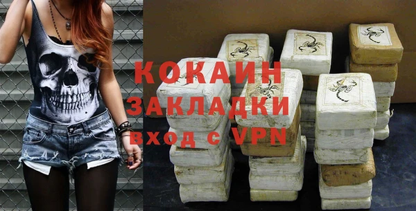стаф Алексин