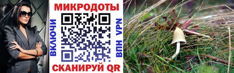 Псилоцибиновые грибы мухоморы  Одинцово 